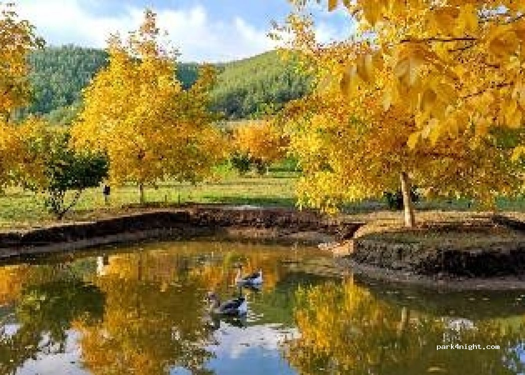 Camping — foto 2