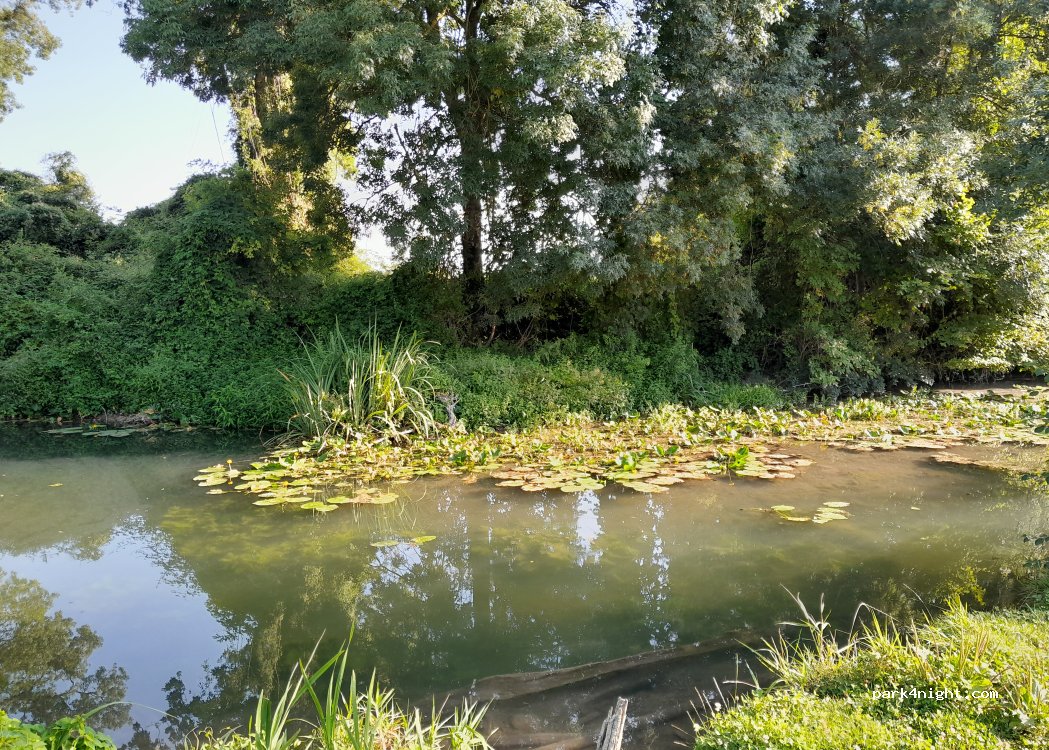(79270) Épannes - — foto 3