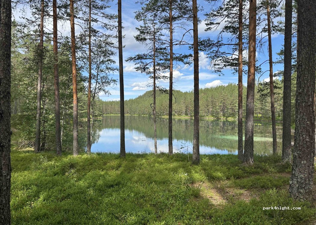 (4865) Åmli - Rv41 — foto 4