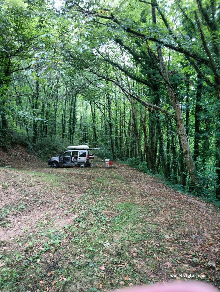 (81270) Labastide-Rouairoux - D64 — foto