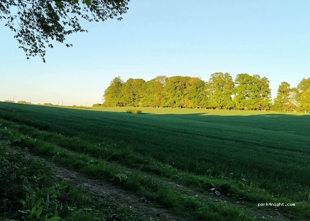 (76570) Hugleville-en-Caux - Unnamed Road — foto