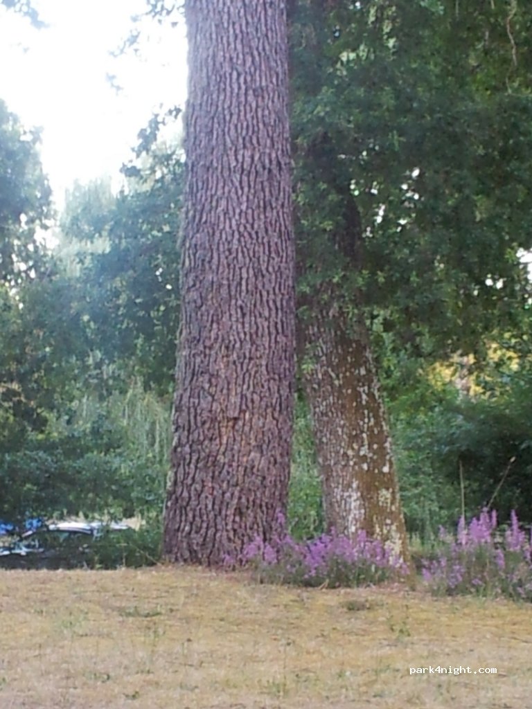 Natural camping Au gat — foto 2