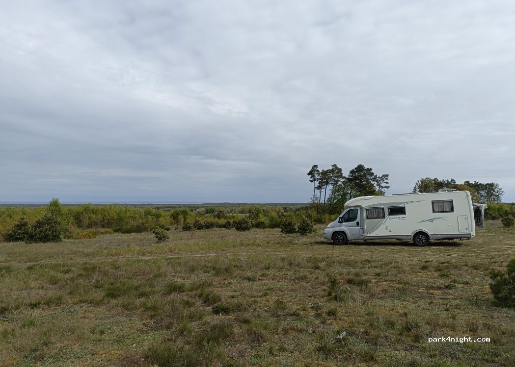 (84-352) Ulinia - — foto 2