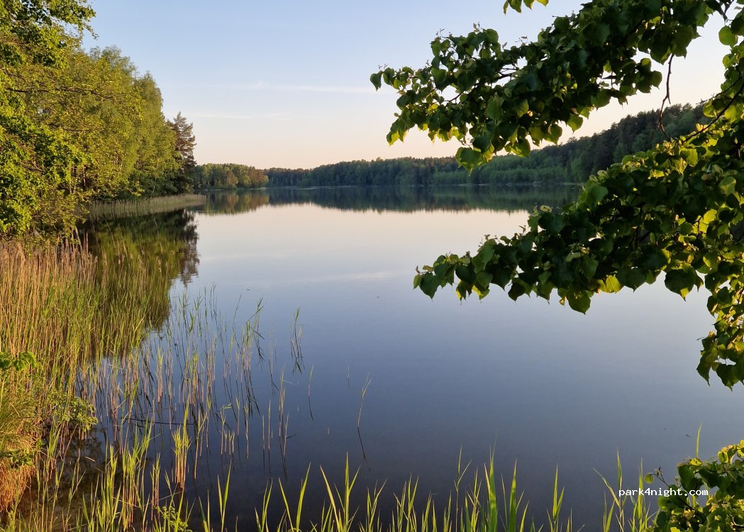 Zelvos ežero stovyklavietė Beržų sala — foto