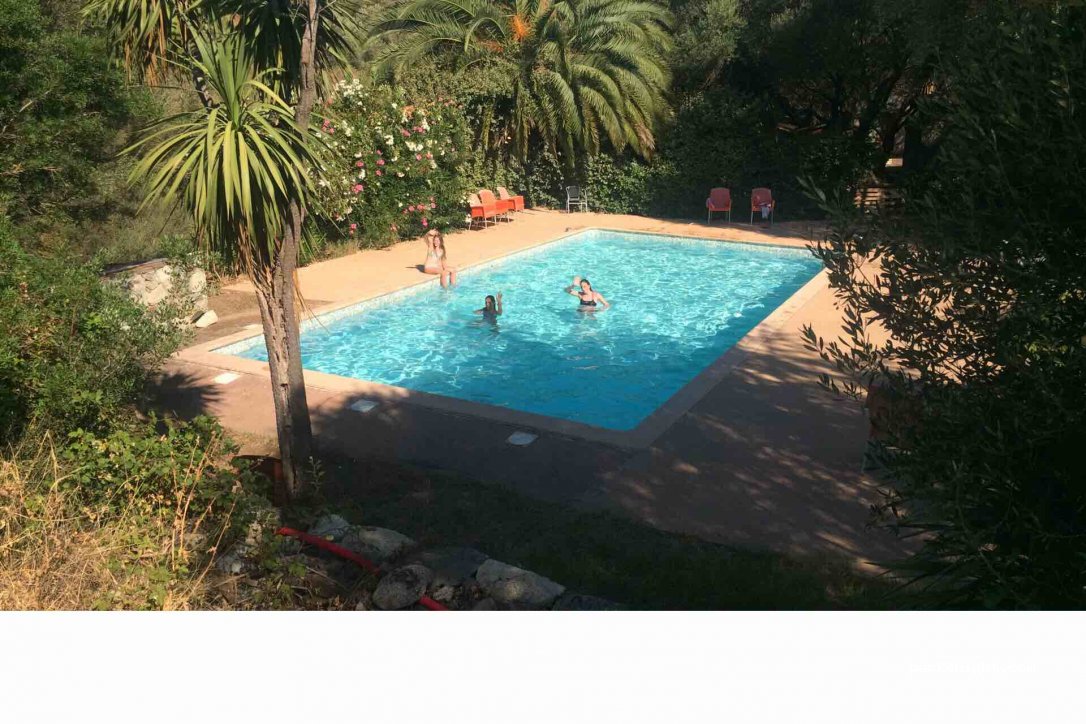 (20218) Lama - Alzelli — foto 2