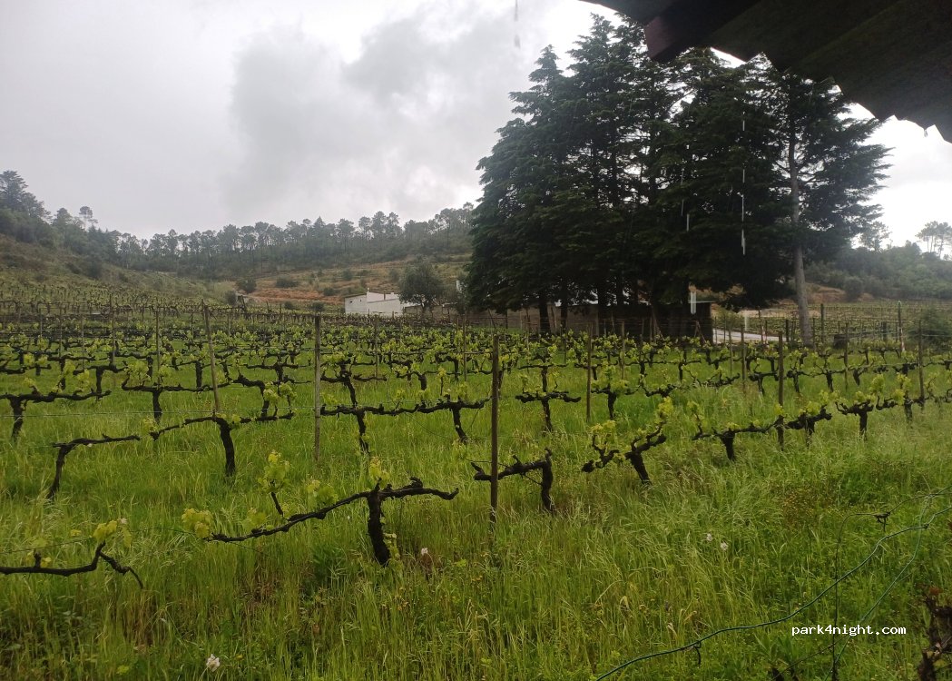 Quinta Chão de Lamas — foto 2