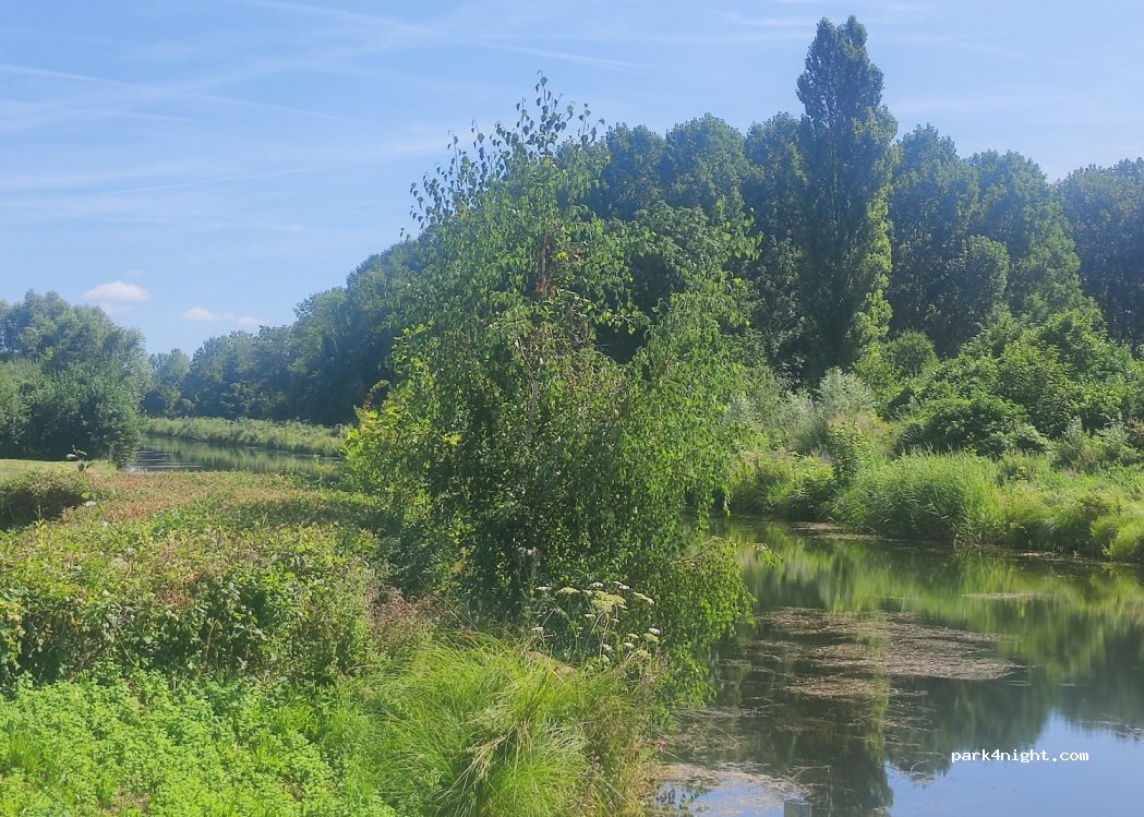 (80340) Cerisy - Marais à Vaches — foto 4