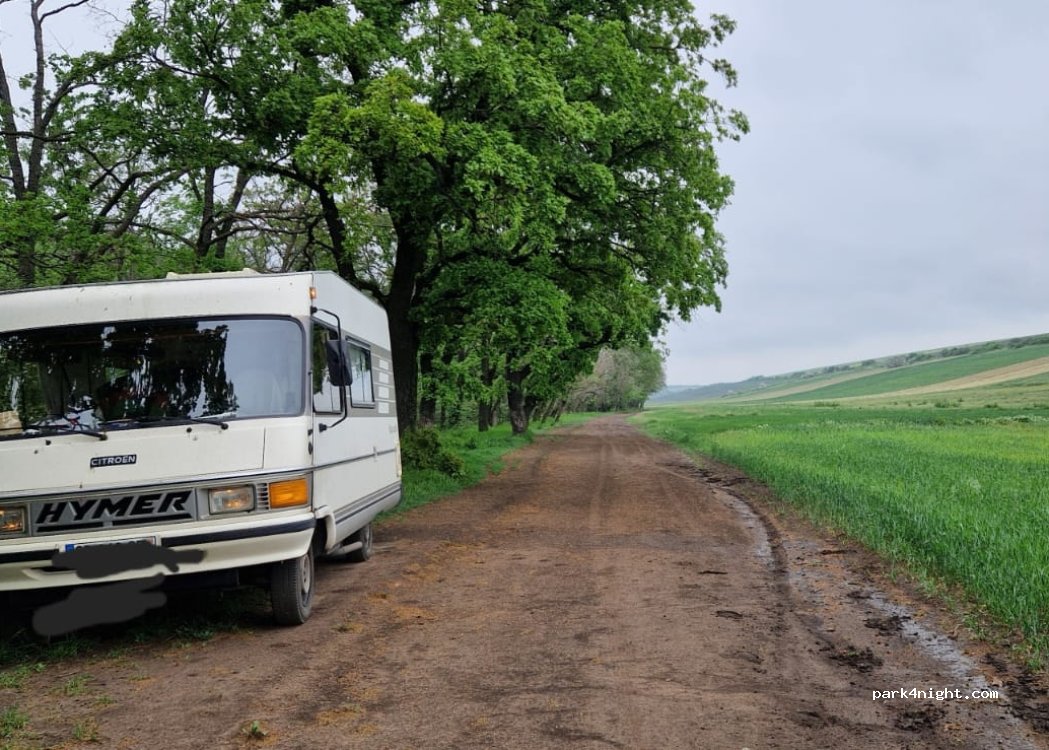 (337226) Roșcani - — foto