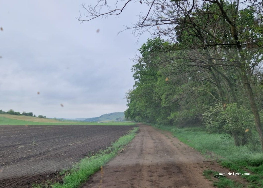 (337226) Roșcani - — foto 3