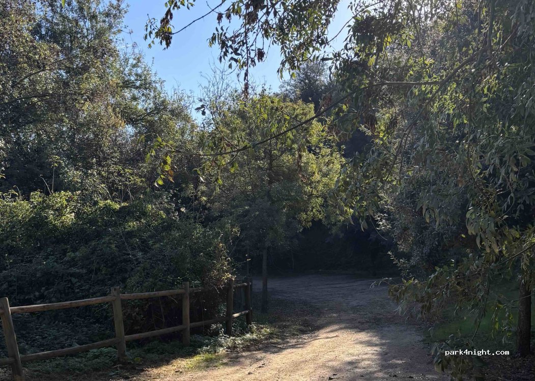 (17481) Sant Julià de Ramis - — foto 2