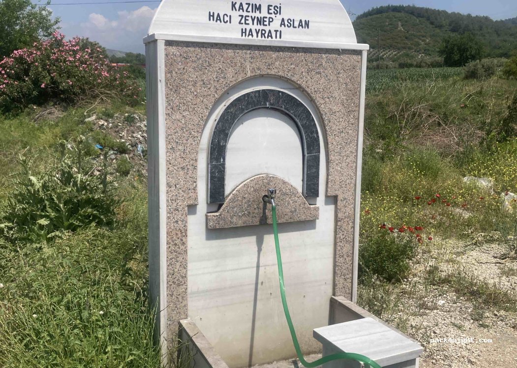 (80000) Kayalı - D400 — foto