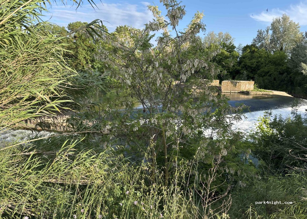 (34120) Pézenas - — foto
