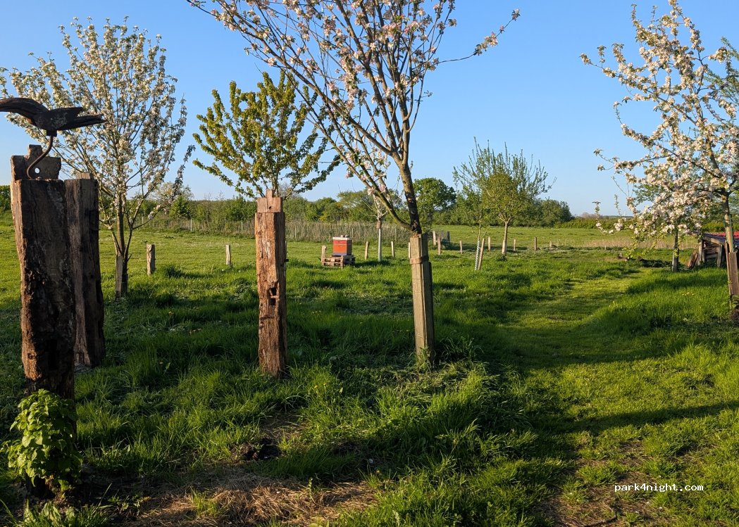 (24870) Ellingstedt - 12 Schellund — foto 2
