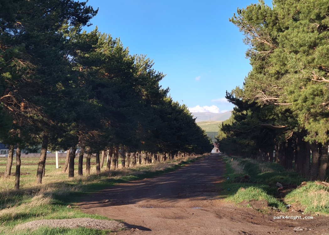 () Martuni - Unnamed road — foto