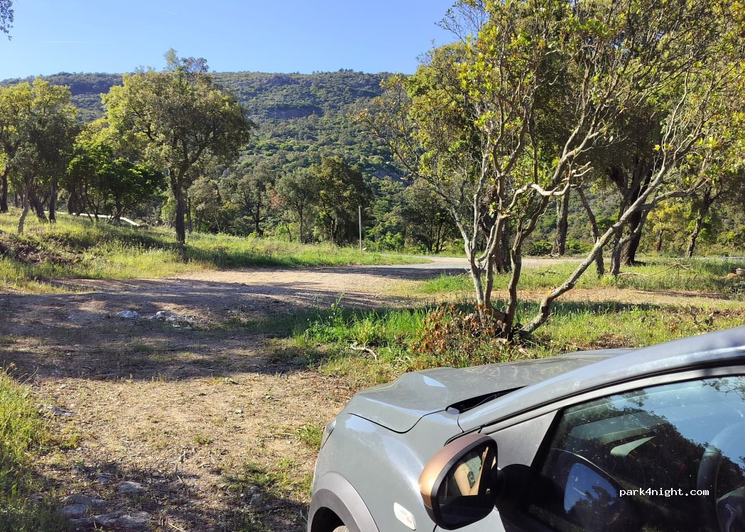 (83230) Bormes-les-Mimosas - — foto