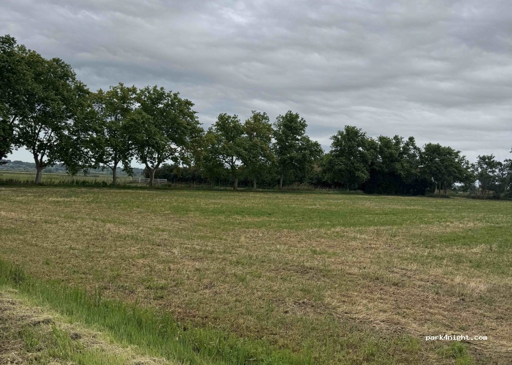 (13200) Arles - Chem. de Truchet — foto 3