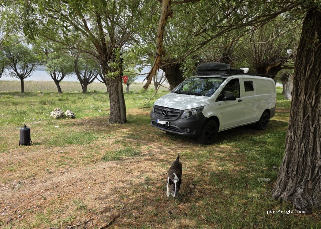 (32402) Gümüşlü - — foto