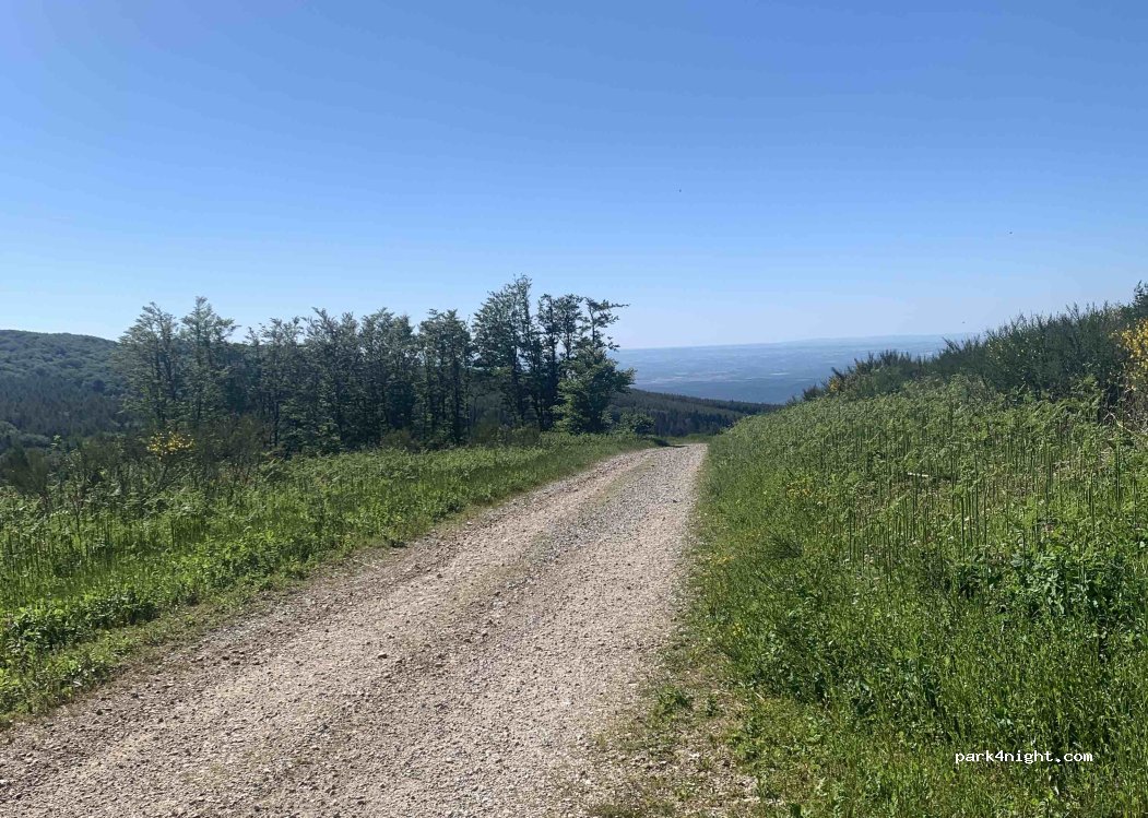 (81240) Saint-Amans-Soult - — foto 3