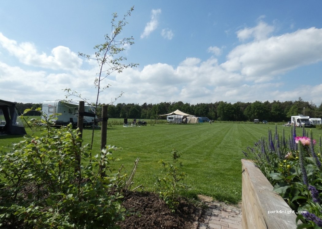Camping Dennenburg — foto 5