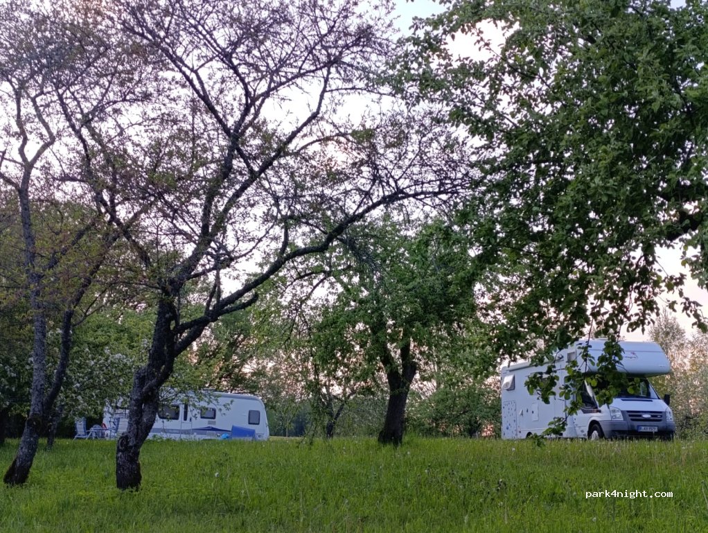 LabViet — foto 5