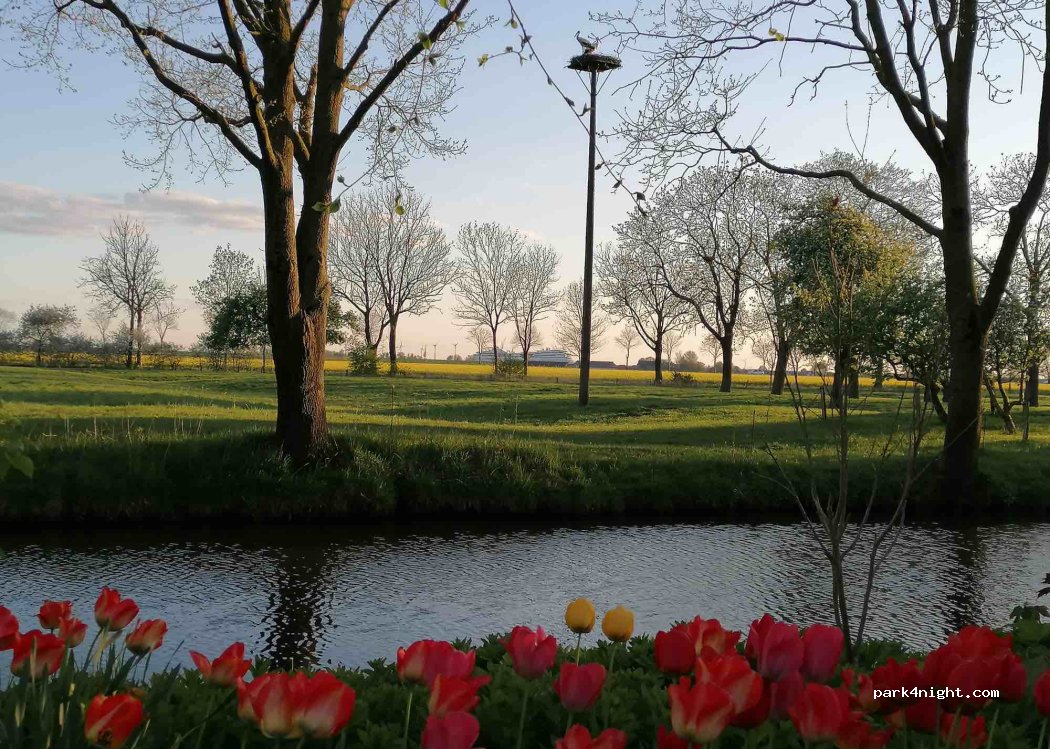 (25599) Wewelsfleth - 3 Großwisch — foto