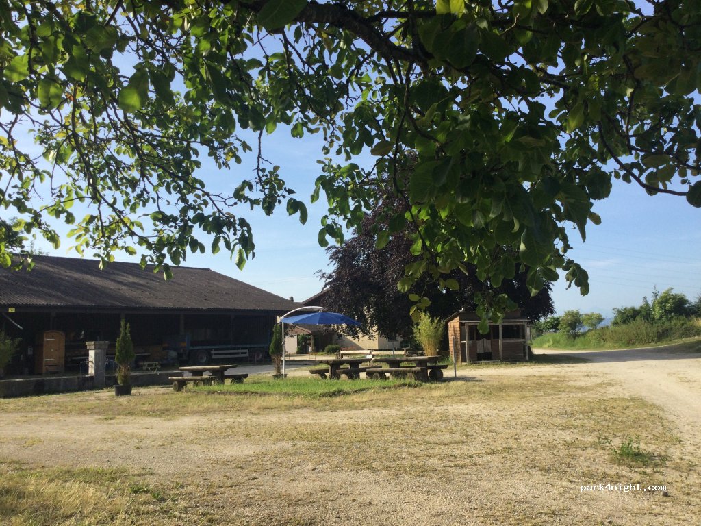 Mettlen — foto 3
