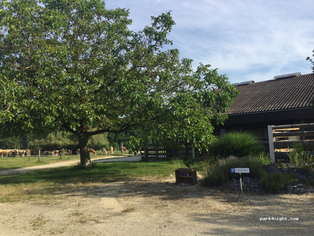 Mettlen — foto 4