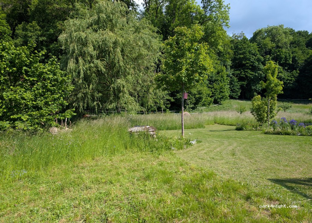 (4537) Wiedlisbach - 1 Stiereweidwald — foto 2