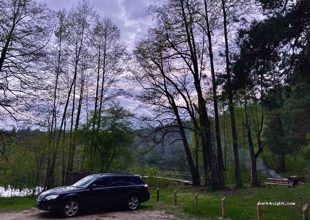 (65332) Pelekiškė - Unnamed Road — foto