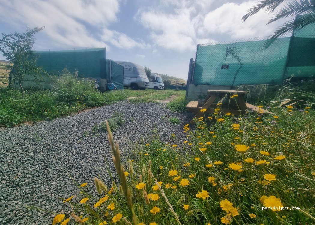 Finca Agrícola en San Lorenzo — foto 3