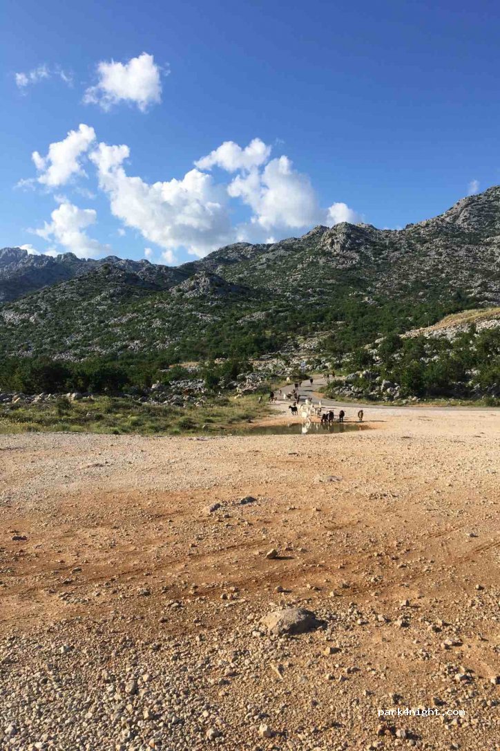 (23244) Starigrad - Unnamed Road — foto