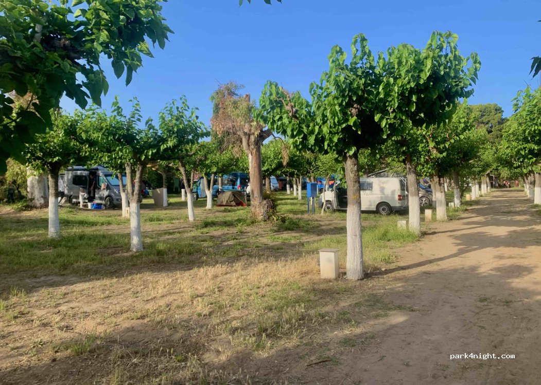 Camping Tholo — foto 4