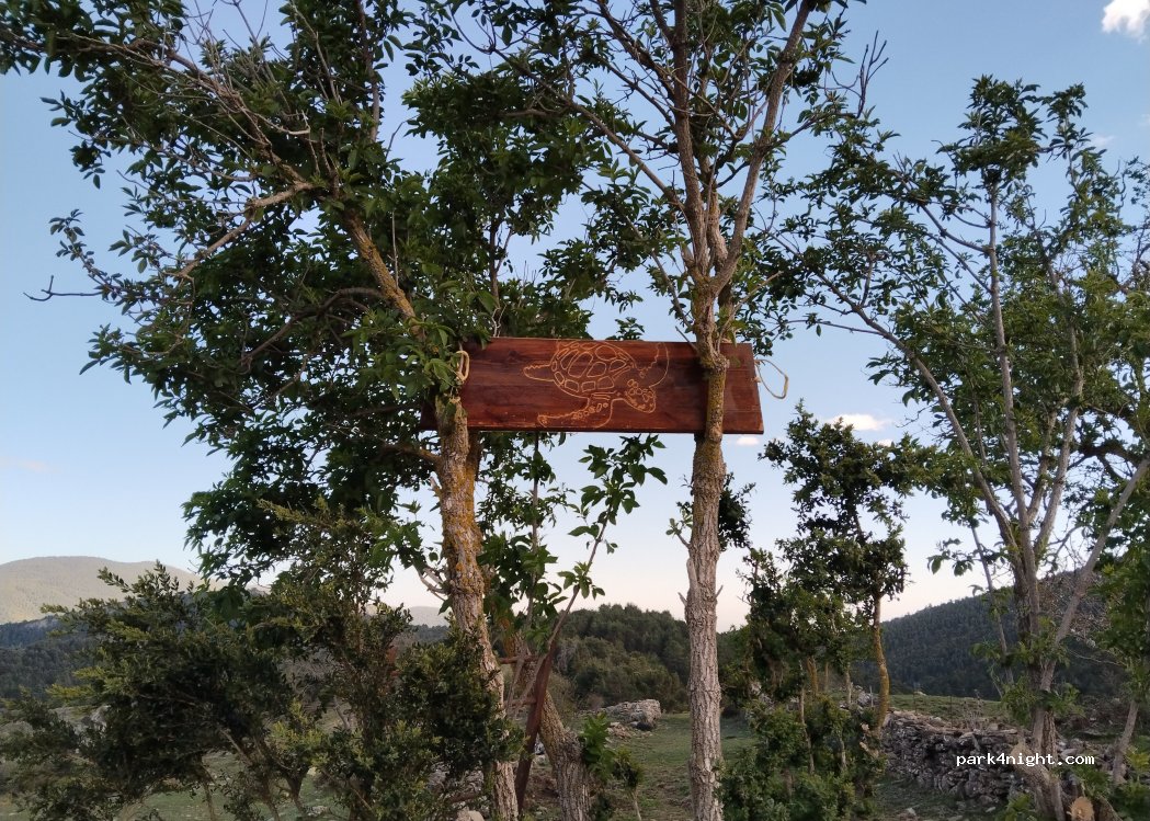 Finca Cal Torrades — foto 2