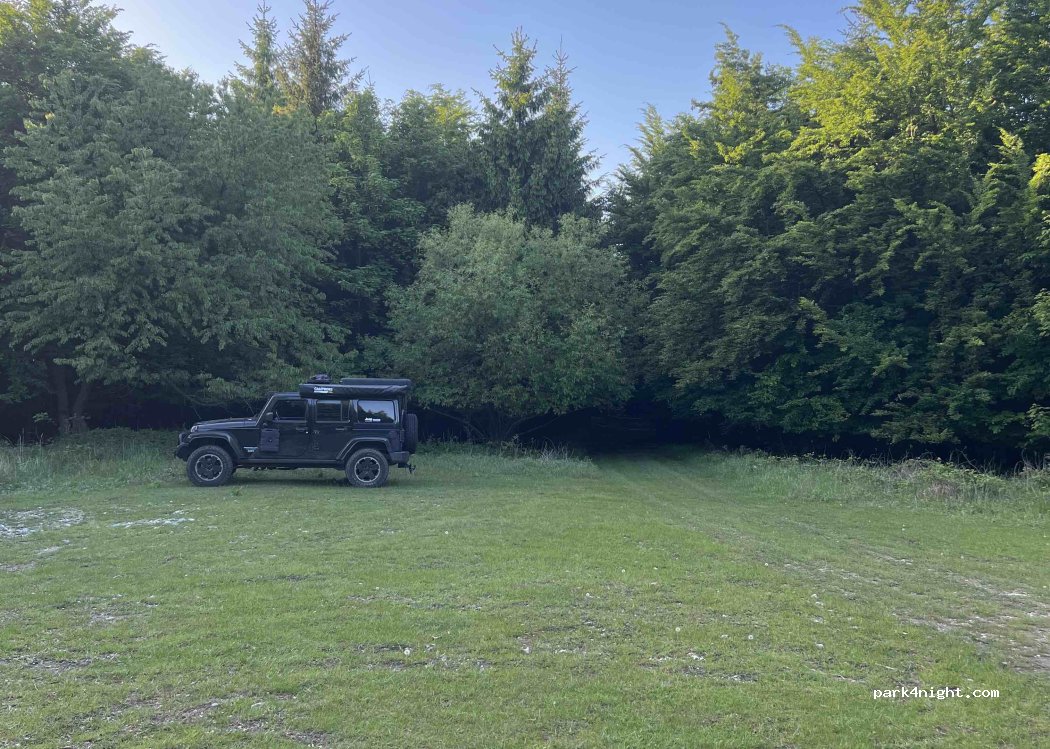 (907 01) Brestovec - — foto 3