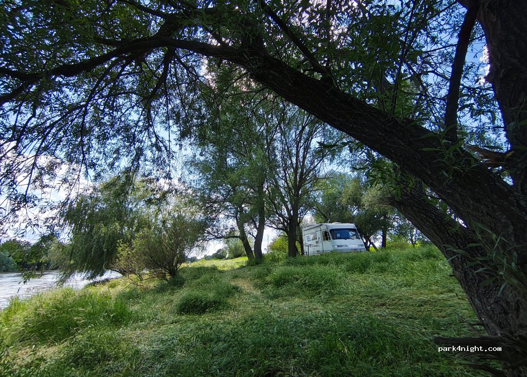 (307396) Parța - — foto