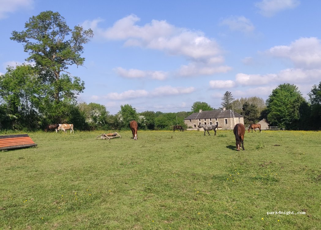 Grands Ducs Équitation — foto