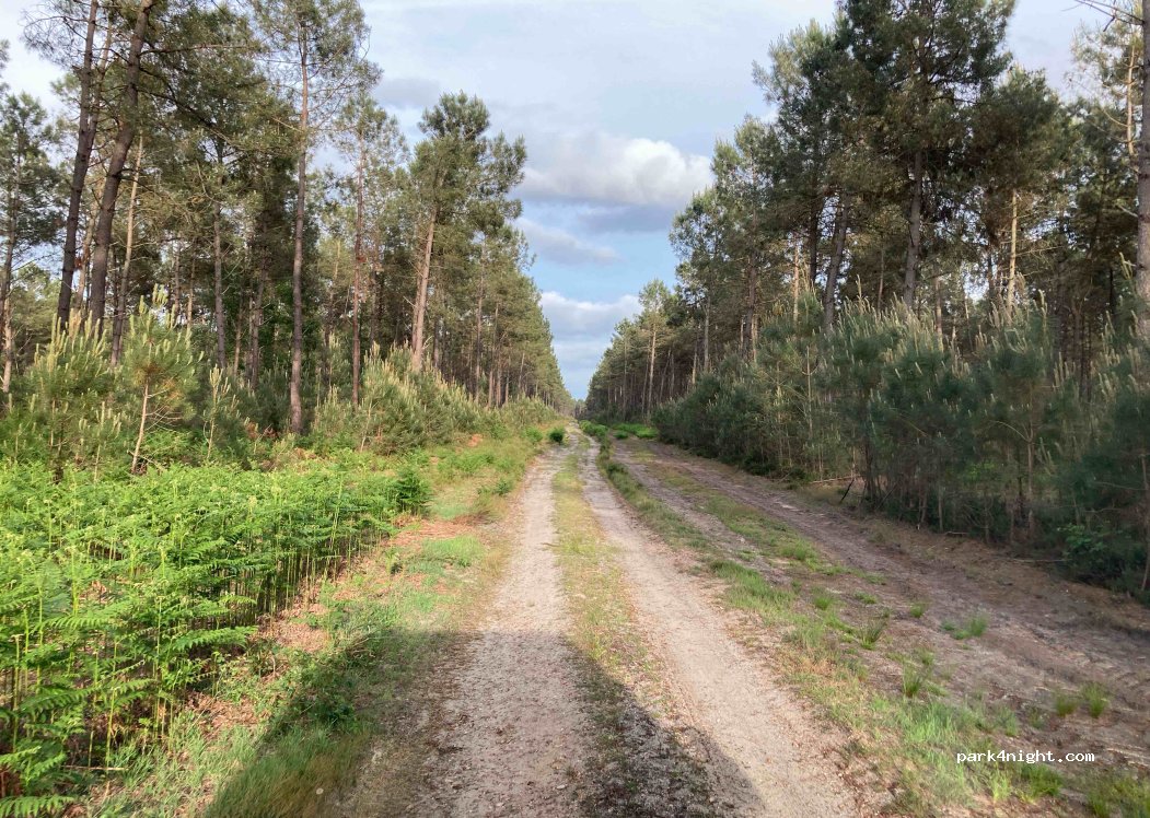 (72470) Saint-Mars-la-Brière - — foto