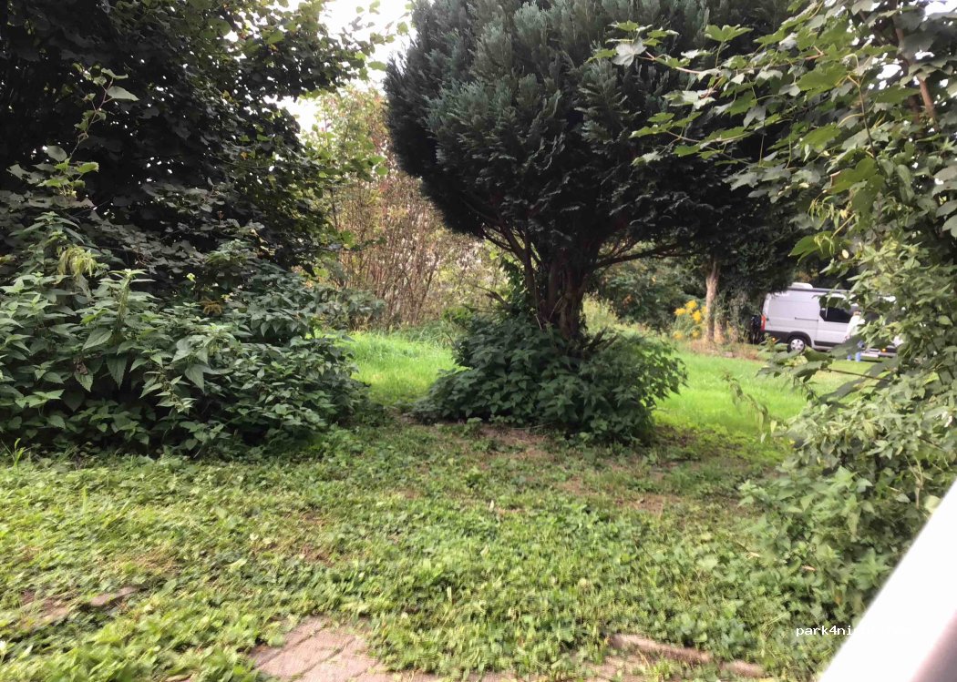 CampingGlück am Neckar — foto 4