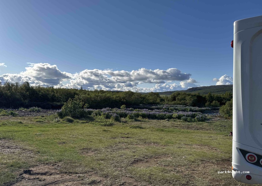Selskógur Campsite — foto