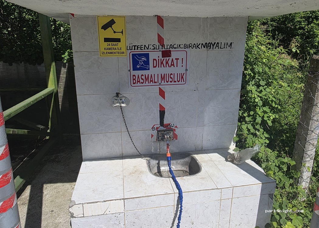 (37600) Kuşçu - D010 — foto