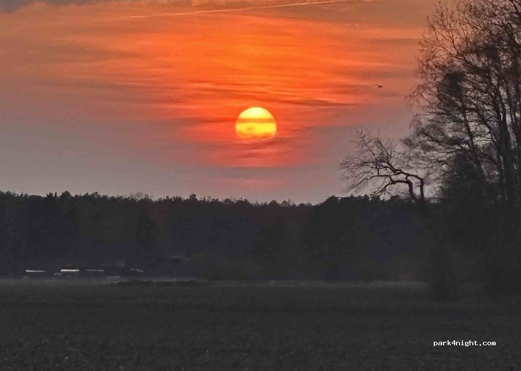 (21354) Bleckede - 5 Heidmoor — foto 3