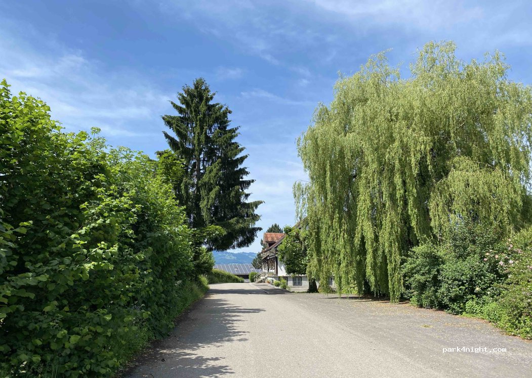 (8717) Benken - 3 Bildsteinstrasse — foto