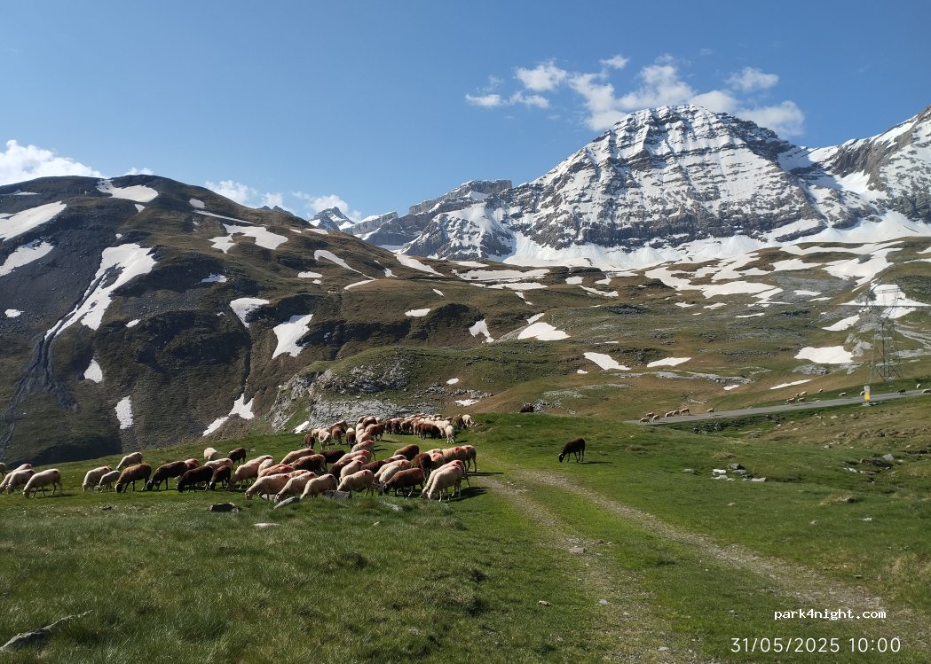 (65120) Gavarnie-Gèdre - — foto