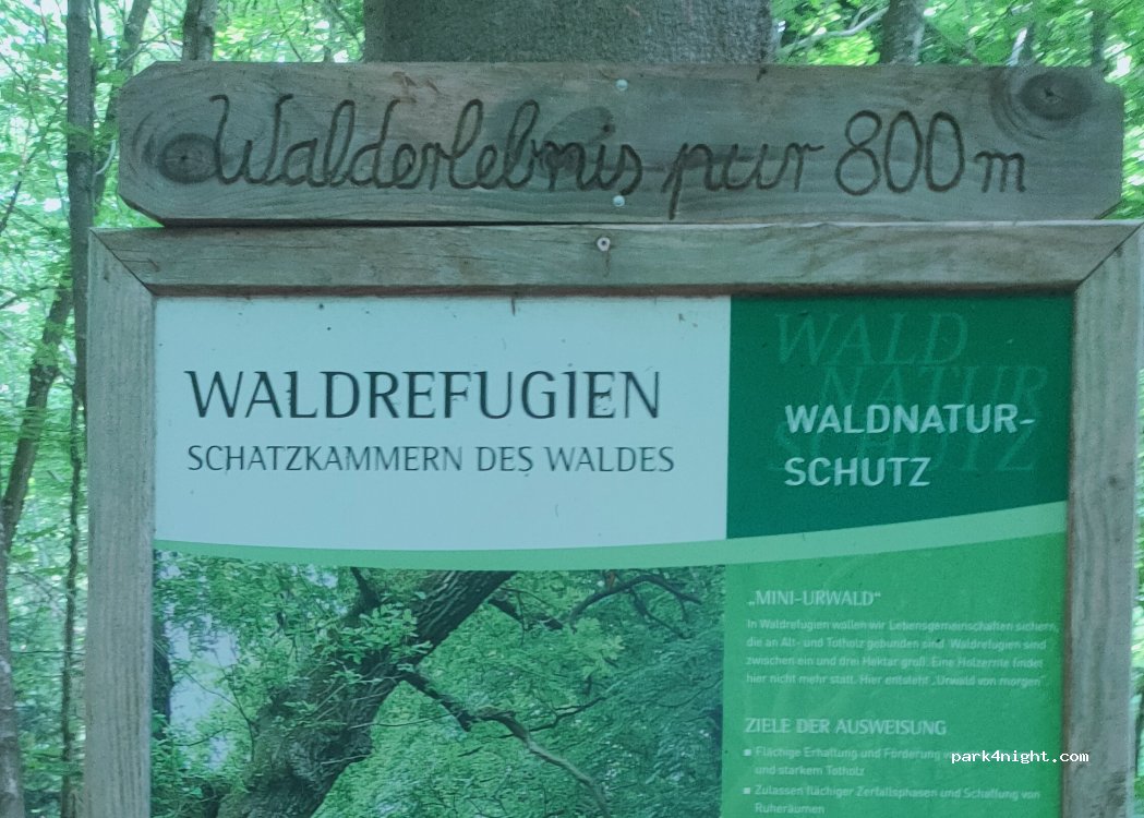 (73488) Ellenberg - — foto