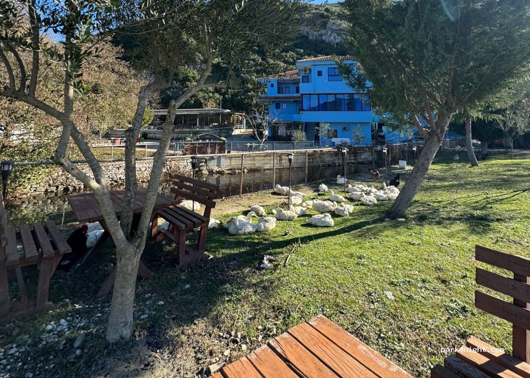 Camping pocemi — foto 5