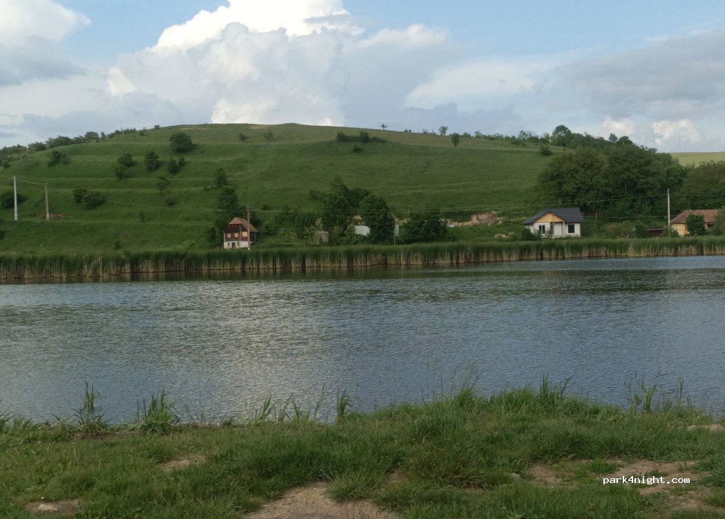 (337315) Mărtinești - — foto