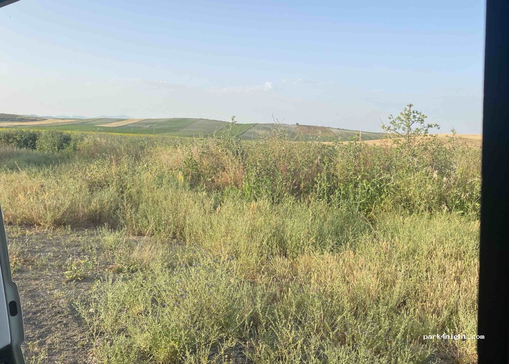 (41750) Los Molares - — foto