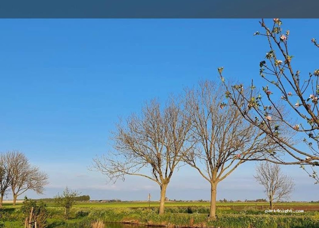 (2959 LB) Streefkerk - 2a Middenpolderweg — foto 3