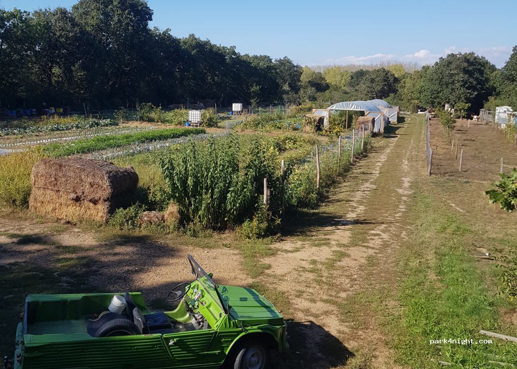 Les Légumes du Champ — foto