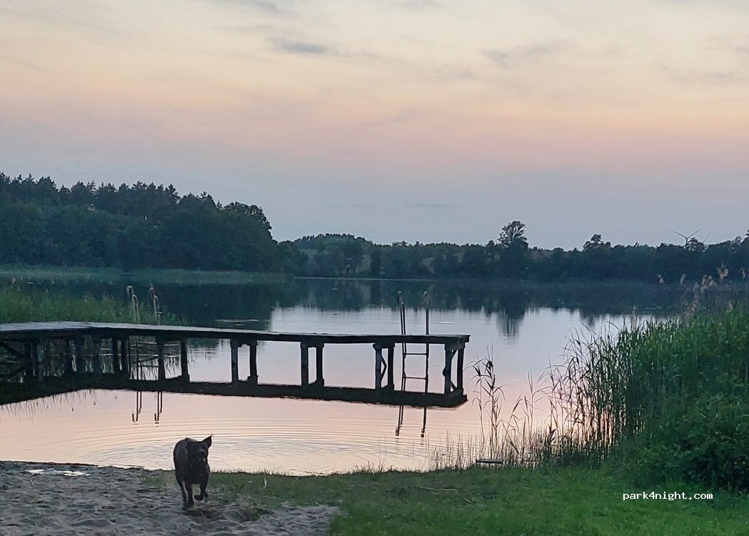 (73231) Krzęcin - Unnamed road — foto
